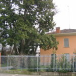 imm99_014 gallery 150x150
