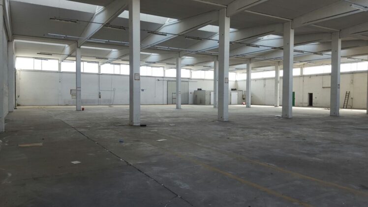 4 1732270571 gallery 748x421