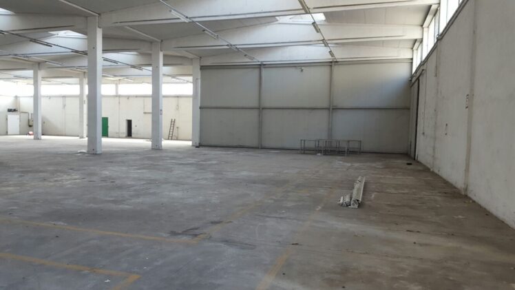 5 1732270577 gallery 748x421