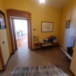 6 1740739272 gallery 150x150