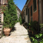 IMG_9958 1749024737 gallery 150x150