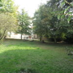 034 1752831499 gallery 150x150